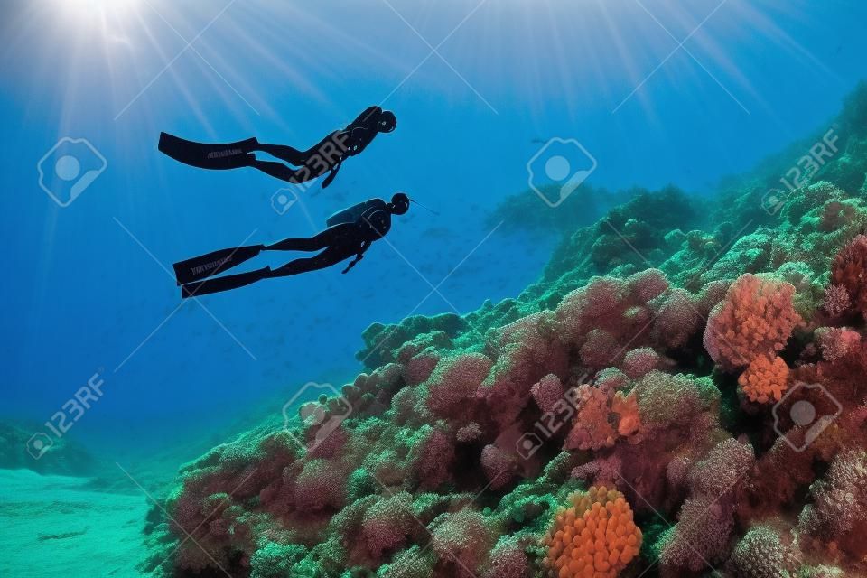 Dos buceadores nadan bajo el agua sobre los arrecifes de coral vivo. Mar Rojo, Egipto