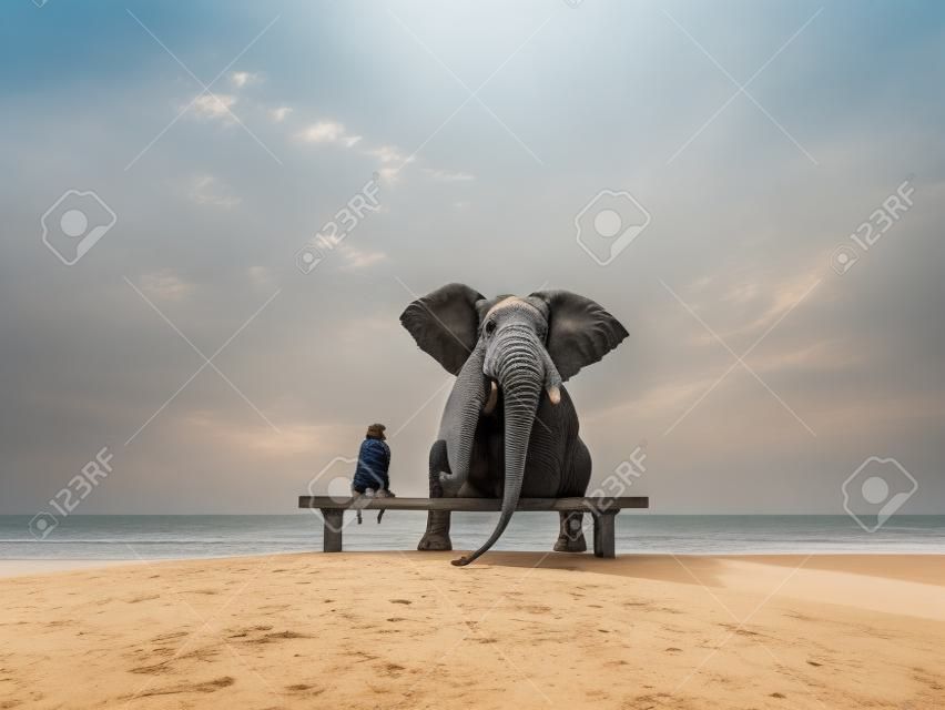elefante y el perro se sienta en una playa desierta