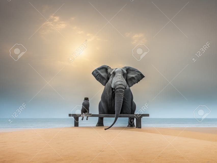 elefante y el perro se sienta en una playa desierta