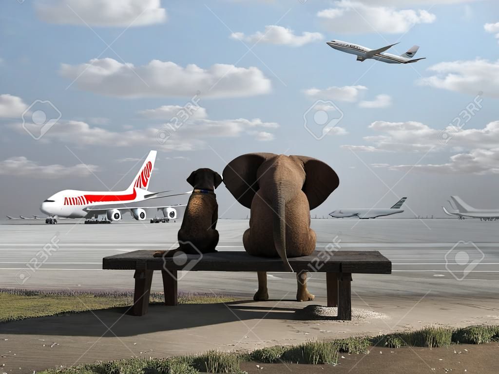 Elefant und Hund sitzen auf dem Flughafen