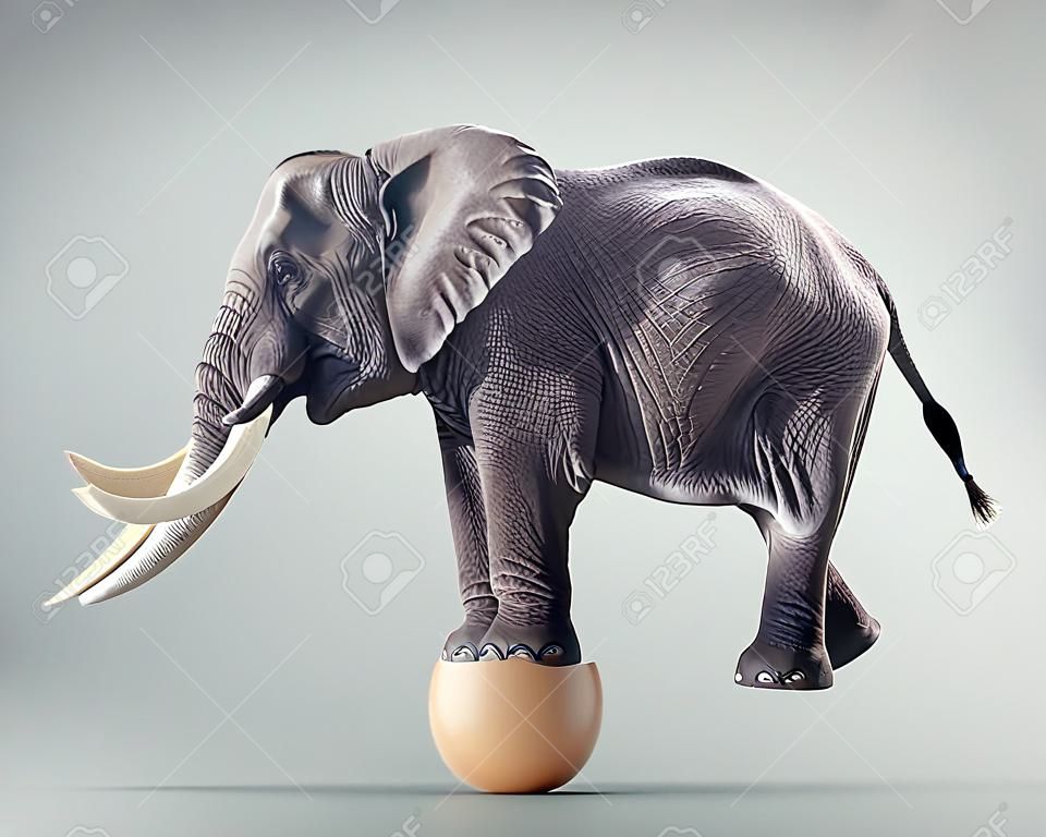Elephant stands on an egg. Solid plan and unbreakable concept.  This is a 3d render illustration