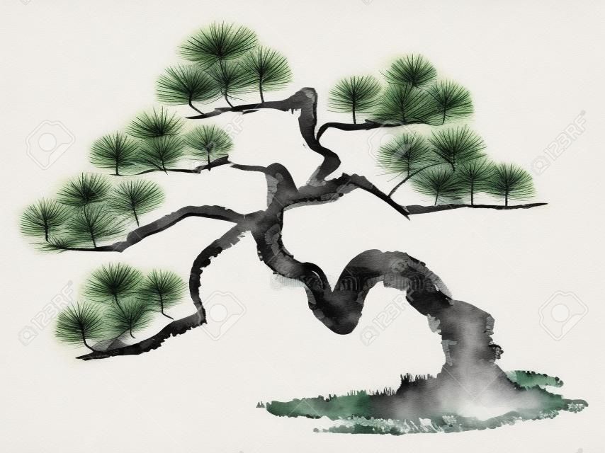 Ink painting illustration of a pine tree