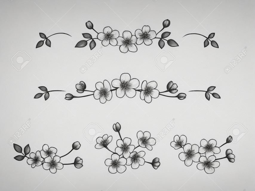 Kwiatowy rysunek ołówkiem kwiatów wiśni