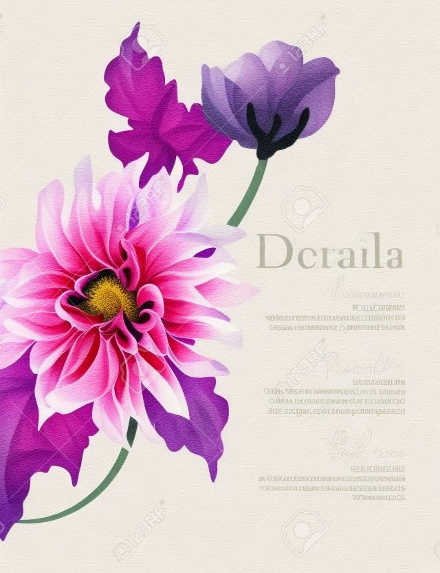Violet dahlia bloem, macro zonnebloem ontwerp, bloemen blsoom kaart. Vintage vakantie groeten kunst. Vector.