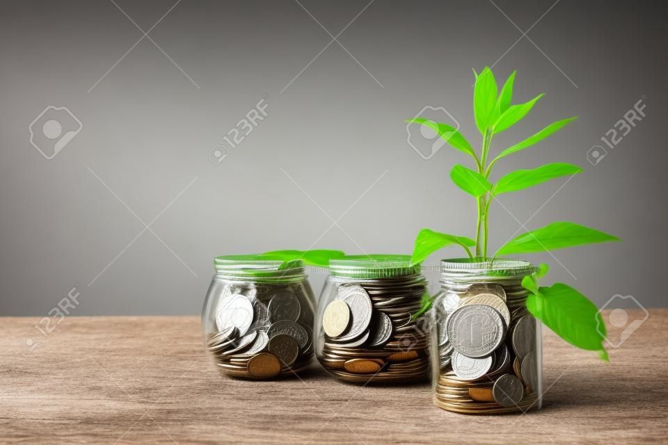 Plant growing on coins in glass jar. Increasing quantity of cash, startup, money growth concept
