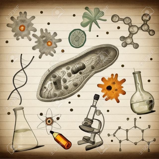 Biology sketches background in vintage style