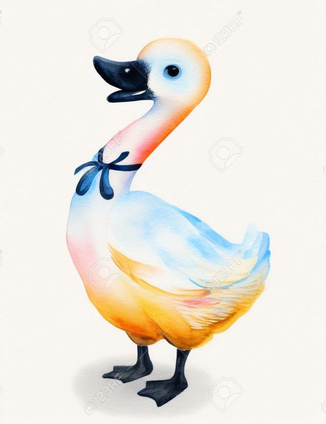 Watercolor illustration with a cute goose. Sketch, drawing by hand.