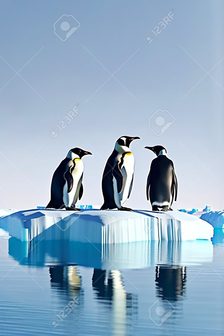 Pinguine auf einer Eisscholle im Ozean, 3D-Rendering