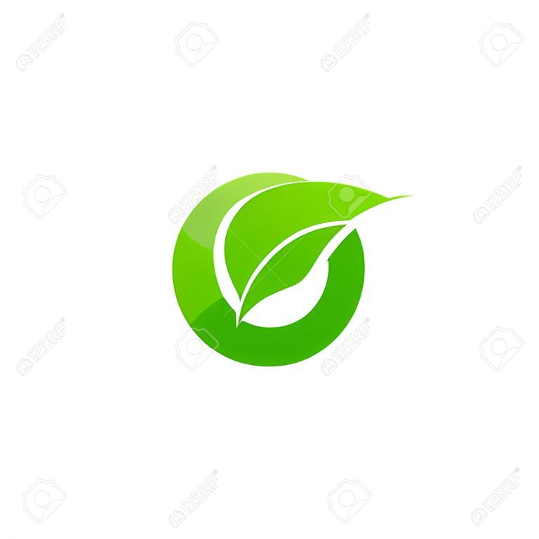 Konzept des Buchstaben O, grünes Blattsymbol der Natur, Ikonendesign der Initialen O
