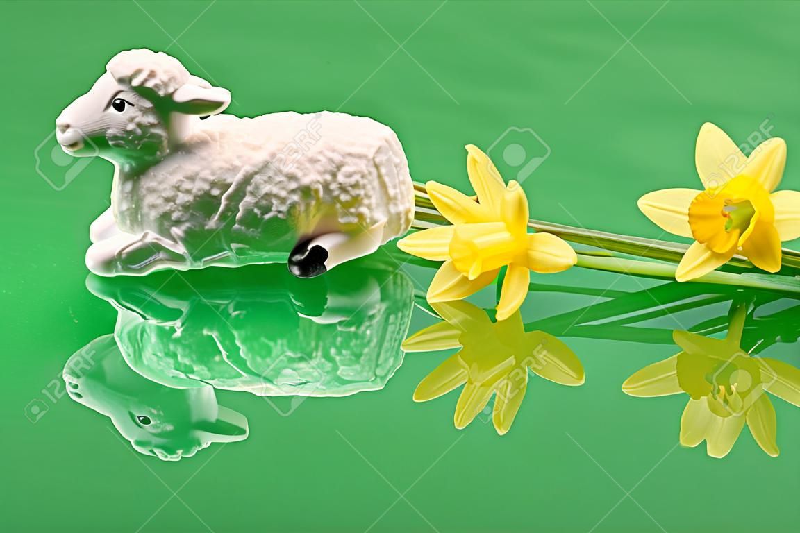 Pasen, lam met suiker en narcissen op een groene achtergrond