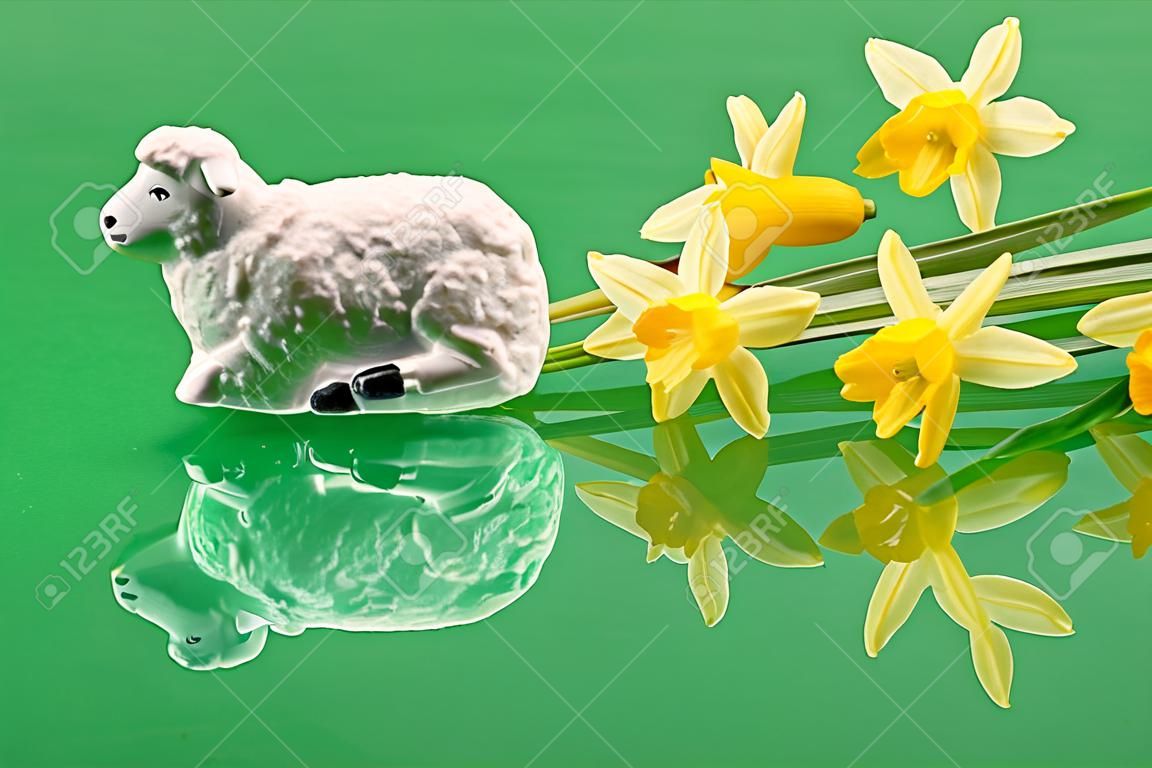 Pasen, lam met suiker en narcissen op een groene achtergrond