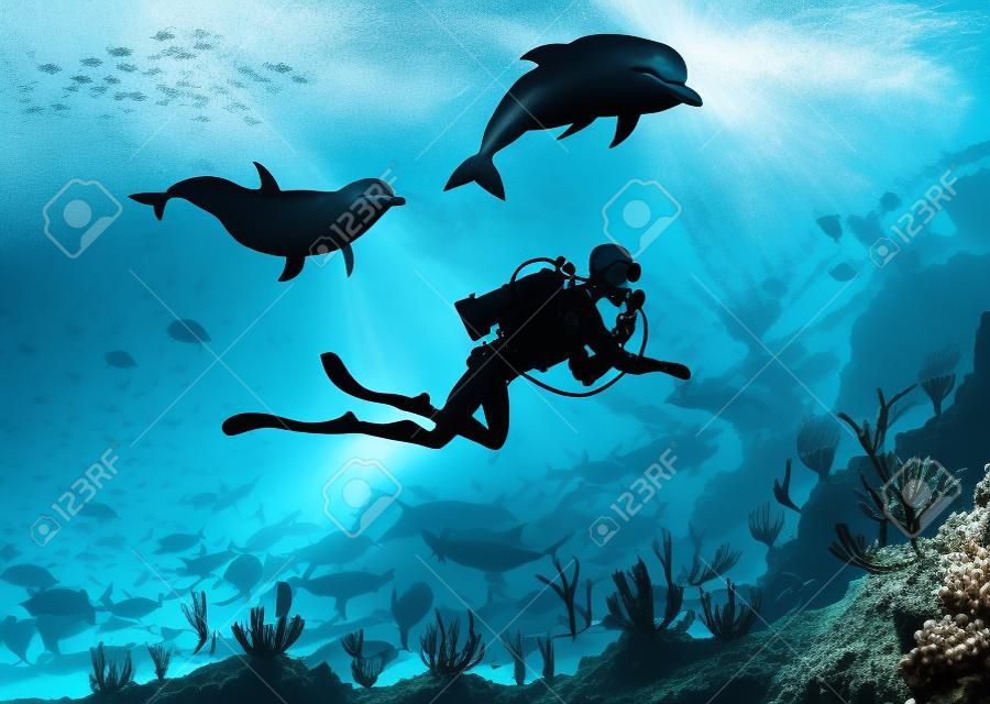 Podwodne delfiny nurkujące