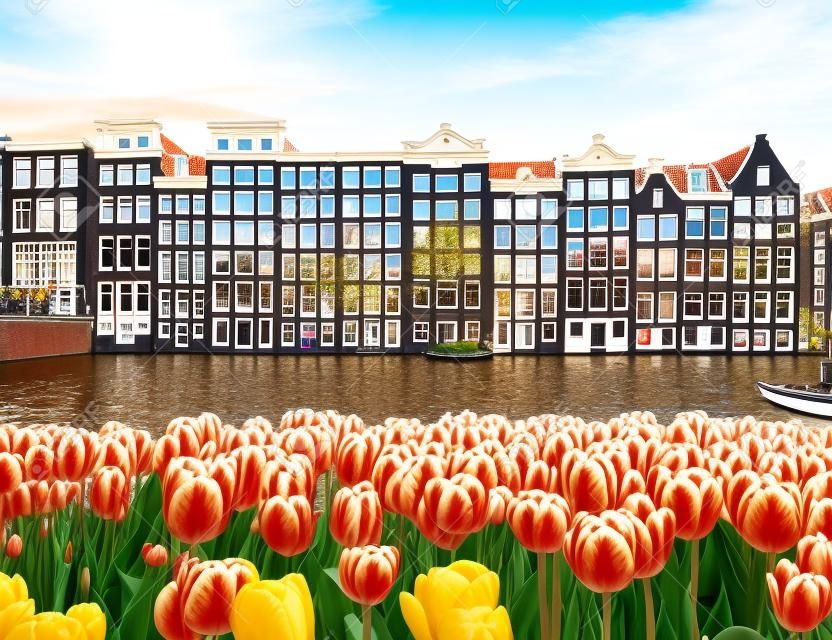 Tradycyjna architektura amsterdamu i wiosenne tulipany na kanale damrak, holandia