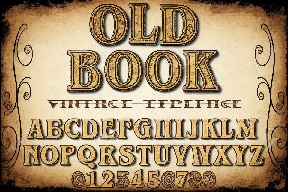 Vintage font alphabet handcrafted vector old book.