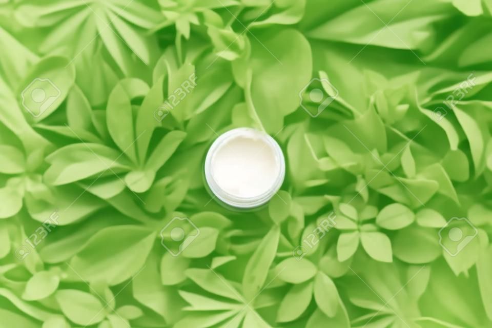 Jar of cosmetic cream on green leaves as background, top view. Natural eco beauty and organic skin care concept.