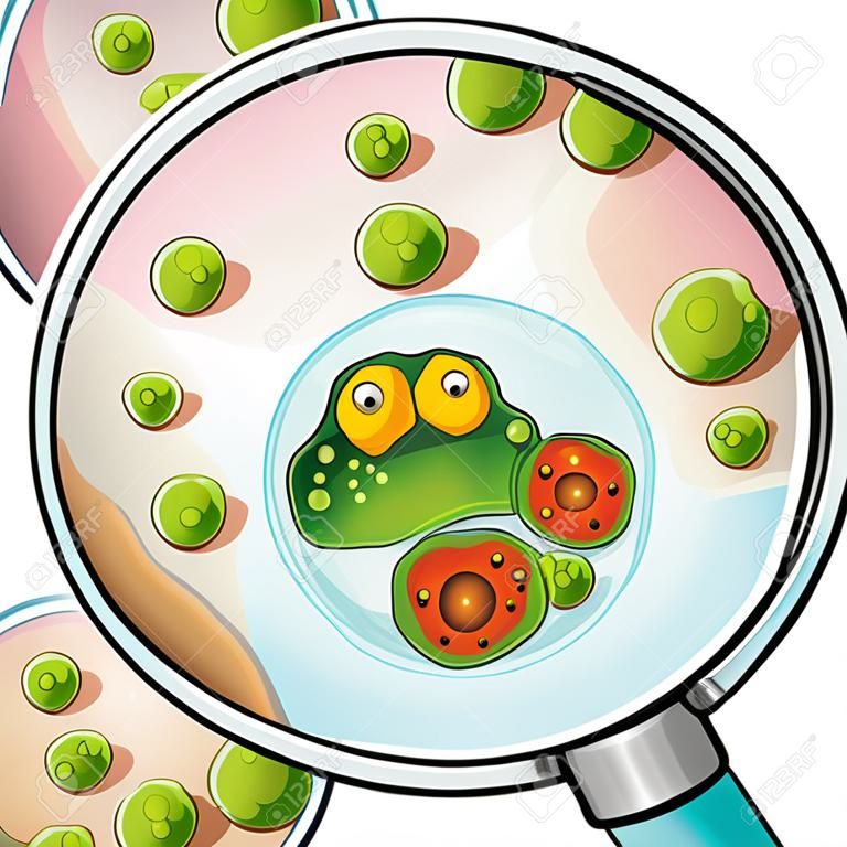 Placa de Petri com ágar e germes através da lupa