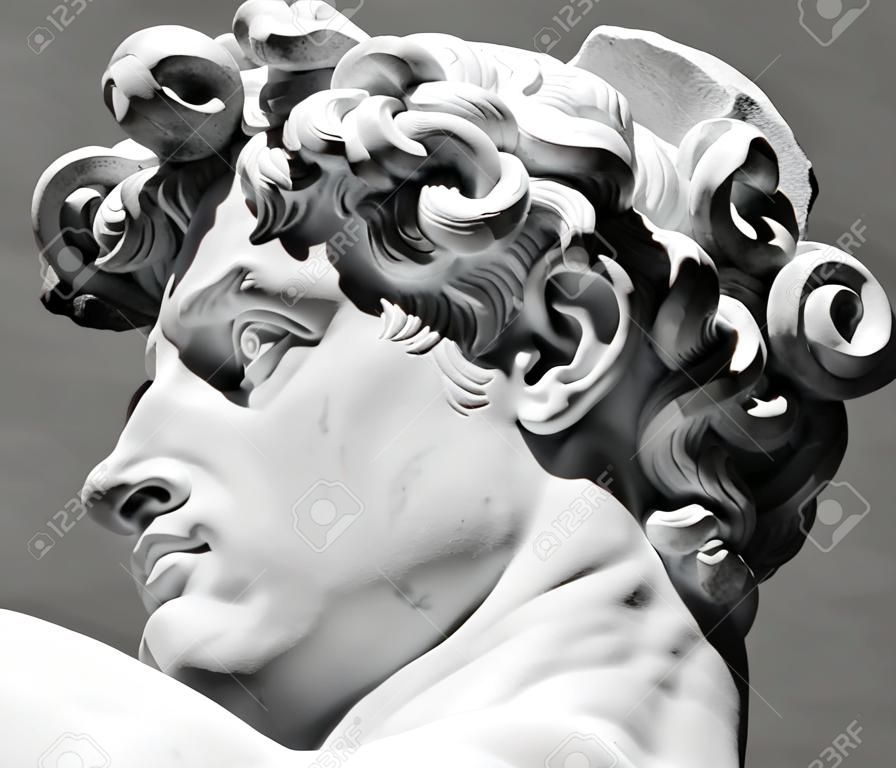 意大利佛罗伦萨托斯卡纳米切朗基罗戴维雕塑头
