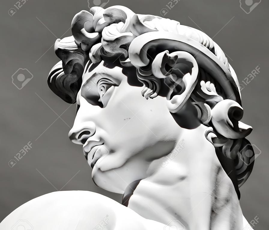 head of David sculpture by  Michelangelo, Florence, Tuscany, Italy, Europe