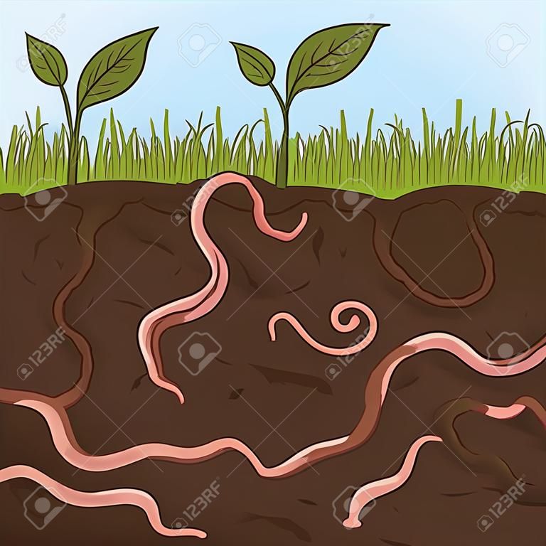 Lombrices de tierra rosadas en suelo de jardín. Corte de tierra con gusanos. Ganadería y agricultura. Ilustración vectorial dibujada a mano.