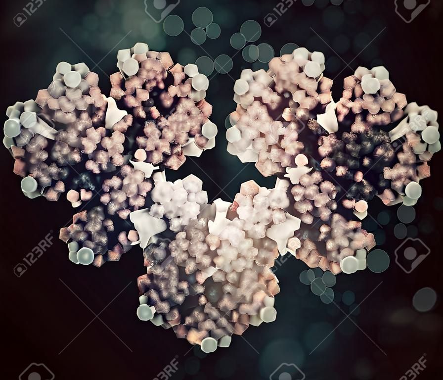 IgG1 monoclonal antibody (immunoglobulin). Many biotech drugs are antibodies. Cartoon representation combined with semi-transparent surfaces.