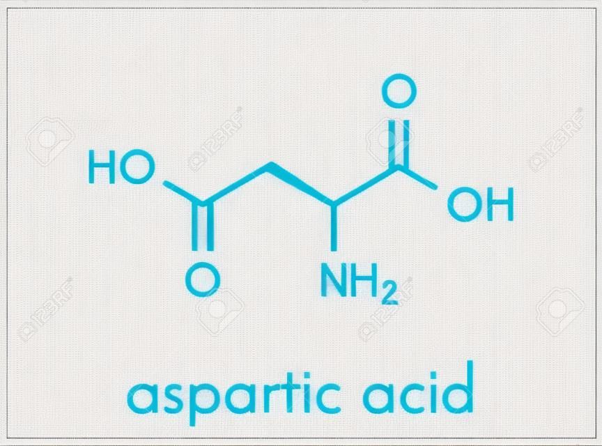 Molecola di acido amminoacido aspartico (acido L-aspartico, Asp, D). Formula scheletrica