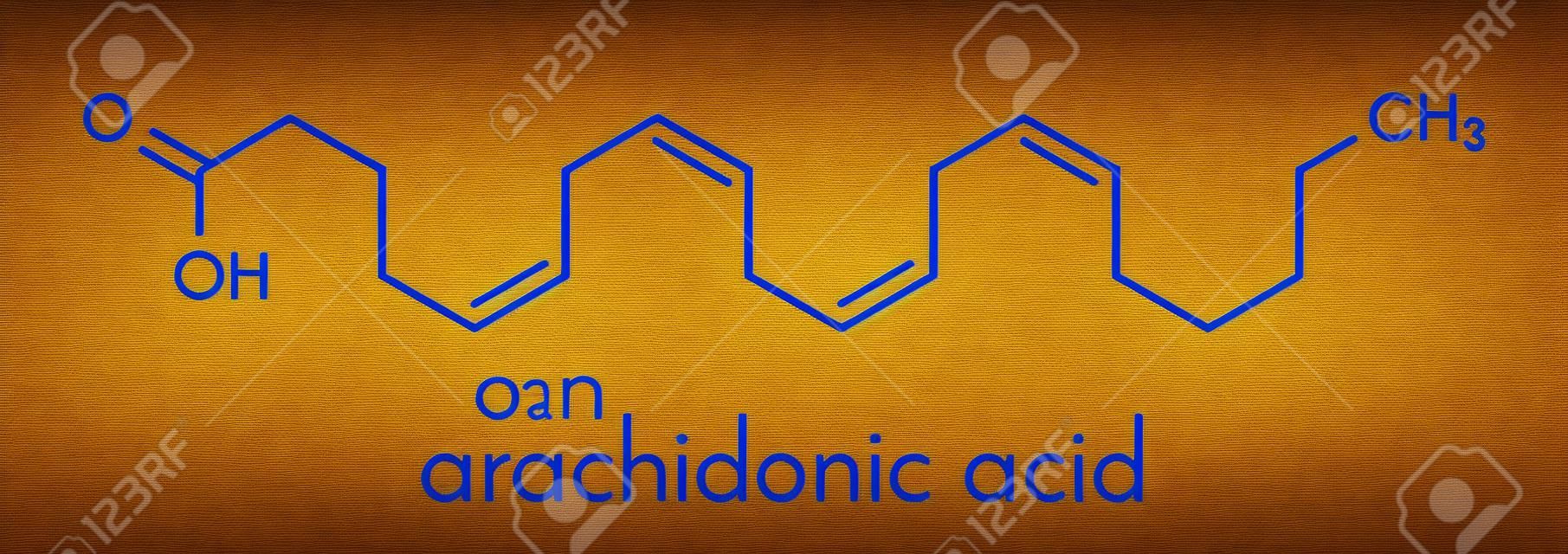 Molécula de ácido araquidônico. Ácido graxo ômega-6 poliinsaturado que é um precursor de prostaglandinas, prostaciclina, tromboxanos, leucotrienos e anandamida. Fórmula esquelética.