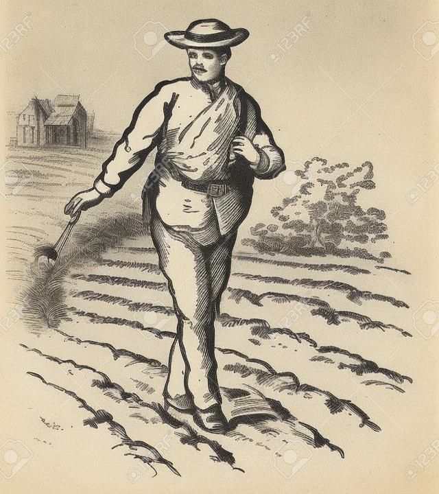 A man sowing seeds in field, vintage line drawing or engraving illustration