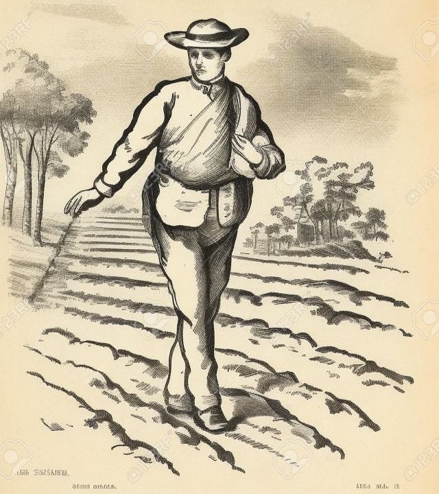 A man sowing seeds in field, vintage line drawing or engraving illustration
