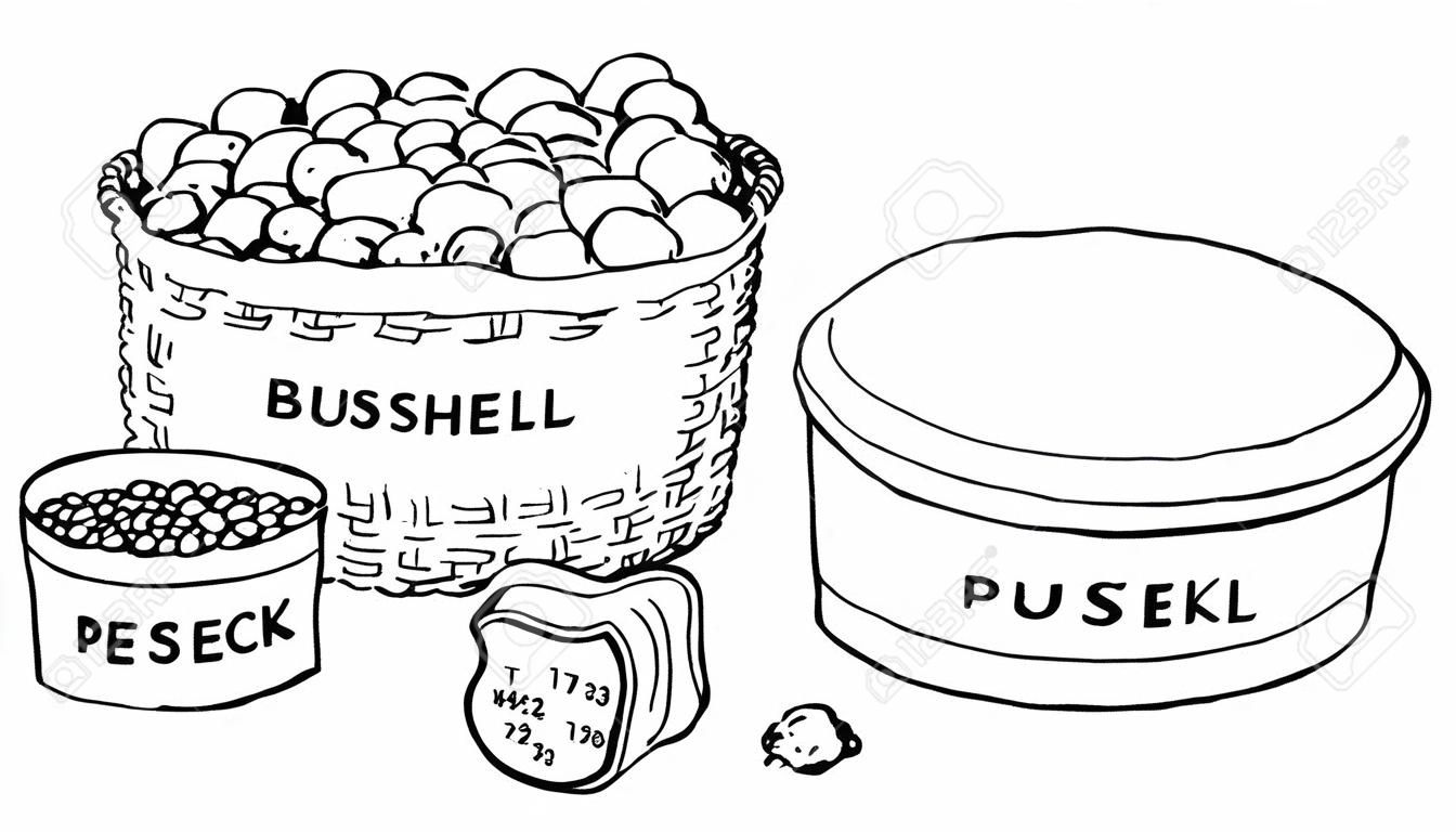 Picture showing the different type of bushel measurement. It is showing comparison between one bushel, half bushel, one peck and half peck, vintage line drawing or engraving illustration.