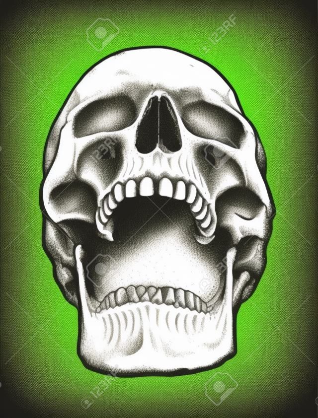 Skull Vector Art Anatomic. Détail illustration dessinée à la main du crâne avec la bouche ouverte. Grunge patinée illustration.