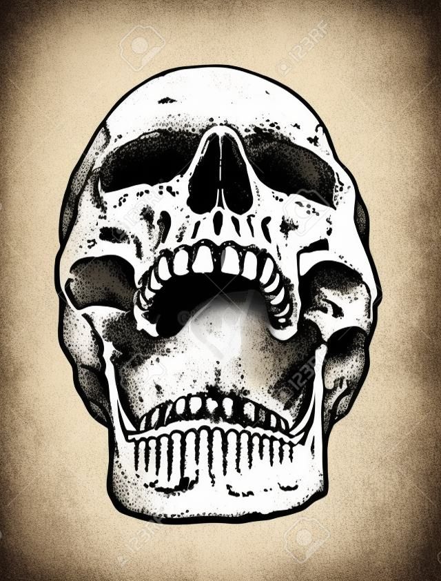 Anatomik Kafatası Vektör Sanatı. Ağzı açık kafatası Detaylı elle çizilmiş illüstrasyon. Grunge resme yıpranmış.