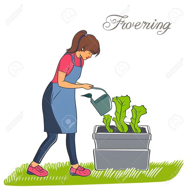 woman watering plants in the flowerpot, lettuce, spinach