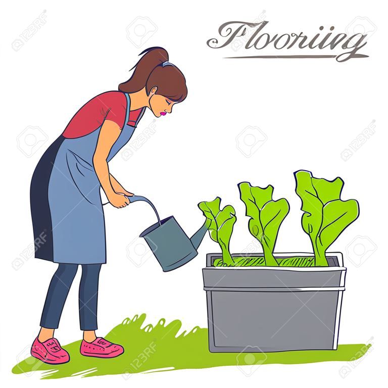 woman watering plants in the flowerpot, lettuce, spinach