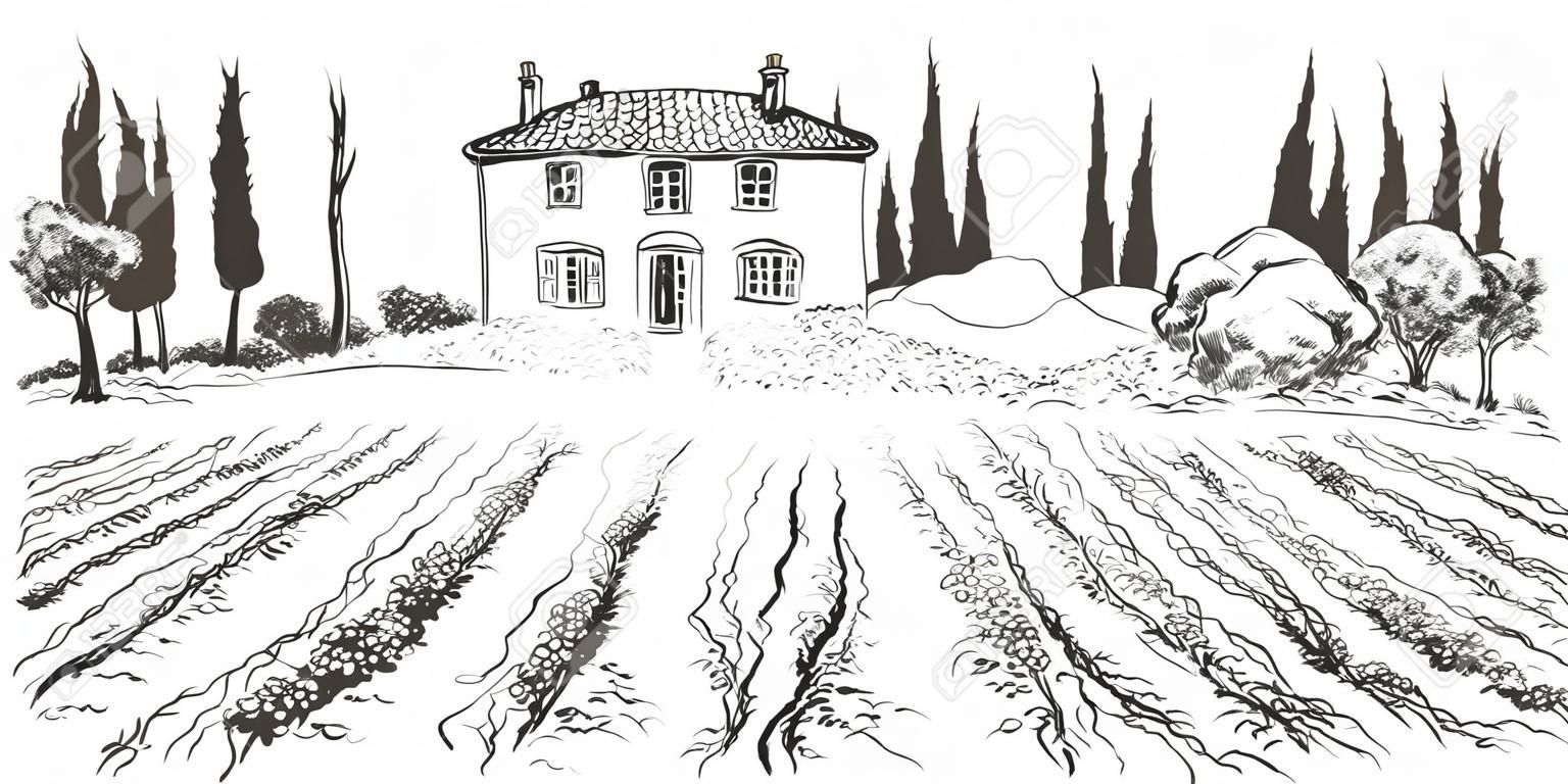 Vine hills landscape. Vector line sketch illustration