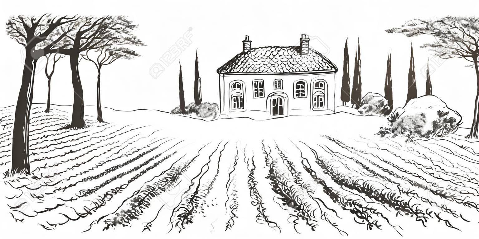Vine hills landscape. Vector line sketch illustration