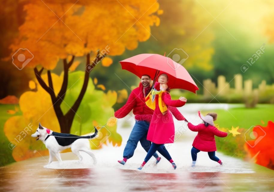 Happy young family spend joyful time together. Parent character walk in rainy weather in autumn park. Father leads a dog on a leash, mom holds hand of a daughter, she carefree jumps through puddles.