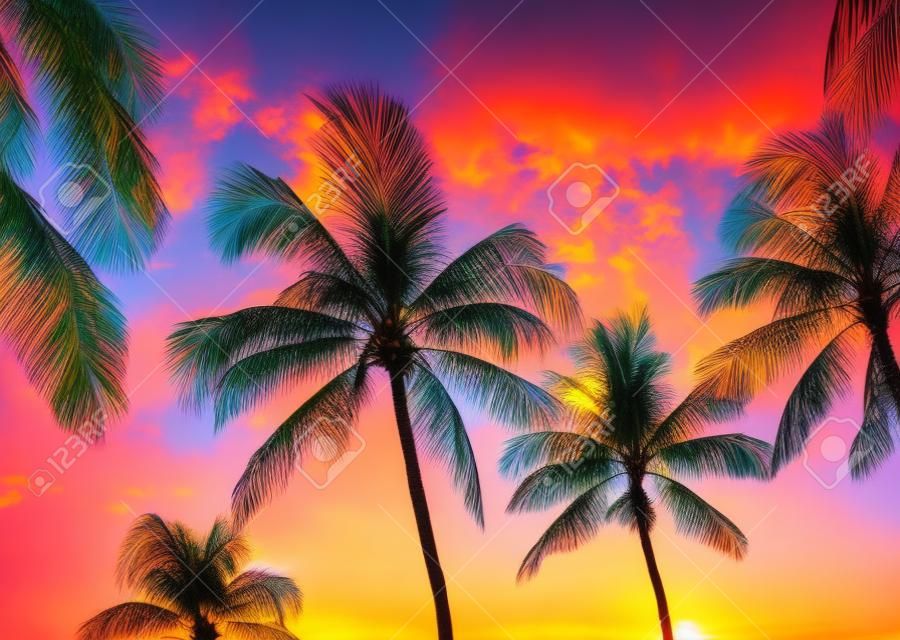 Palmiers au coucher du soleil de style rétro à Hawaii avec des couleurs vives