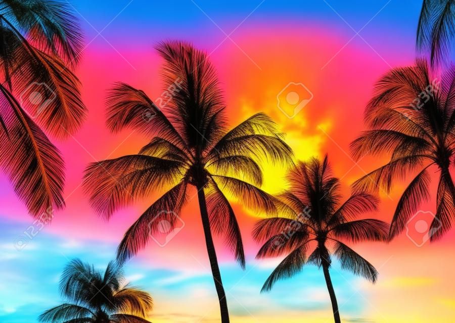 Palmiers au coucher du soleil de style rétro à Hawaii avec des couleurs vives