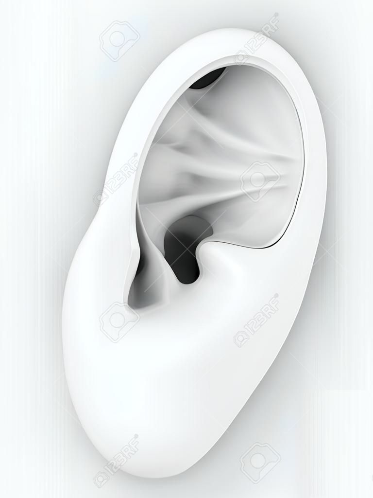 Modelo 3d de la oreja sobre un fondo gris