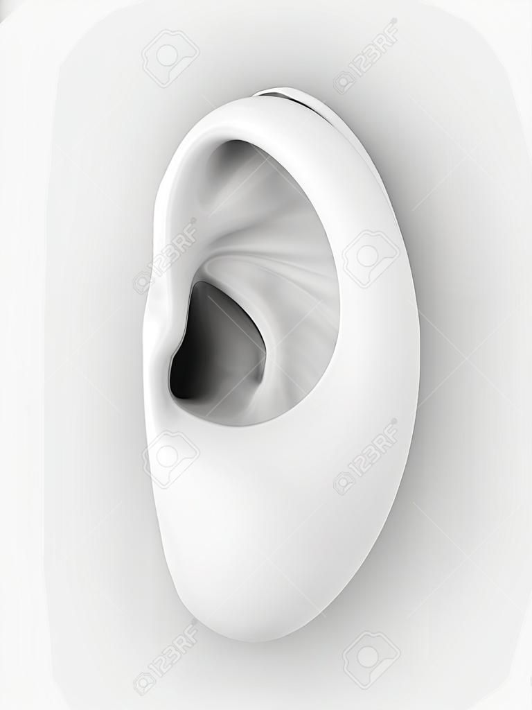 Modelo 3d de la oreja sobre un fondo gris