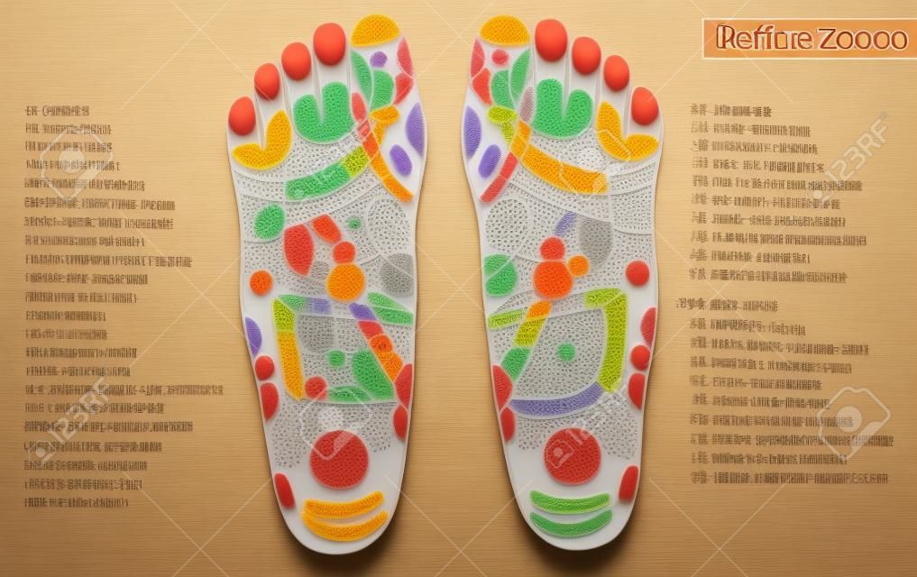Acupuncture points on the feet. The reflex zones on the feet. Acupuncture. Chinese medicine.