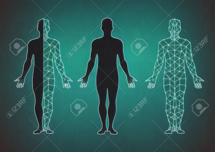 vector body isolate and body mesh. illustration vector.