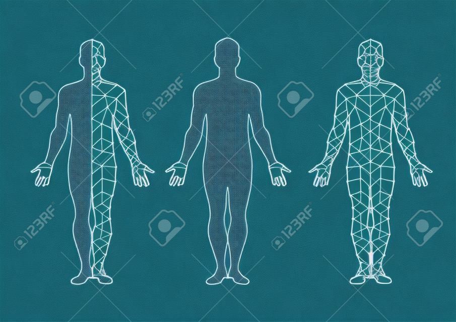 corpo vettore isolare e mesh del corpo. illustrazione vettoriale.