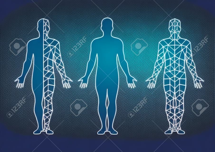 vector body isolate and body mesh. illustration vector.