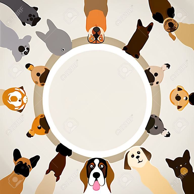 Razze canine, cornice rotonda, vista frontale, illustrazione vettoriale