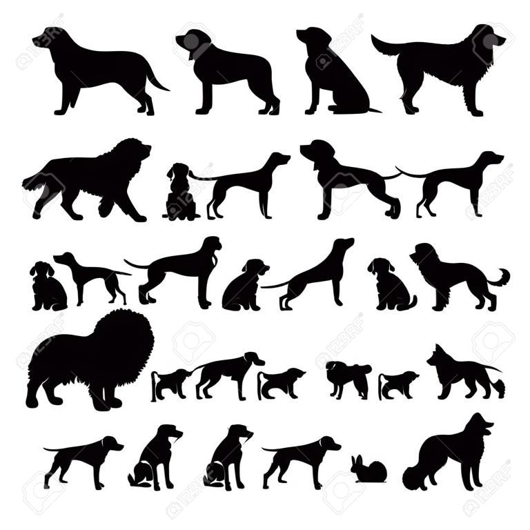 Razas de perros, conjunto de silueta, vista lateral, ilustración vectorial