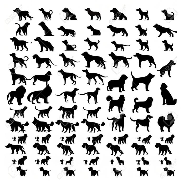 Razas de perros, conjunto de silueta, vista lateral, ilustración vectorial