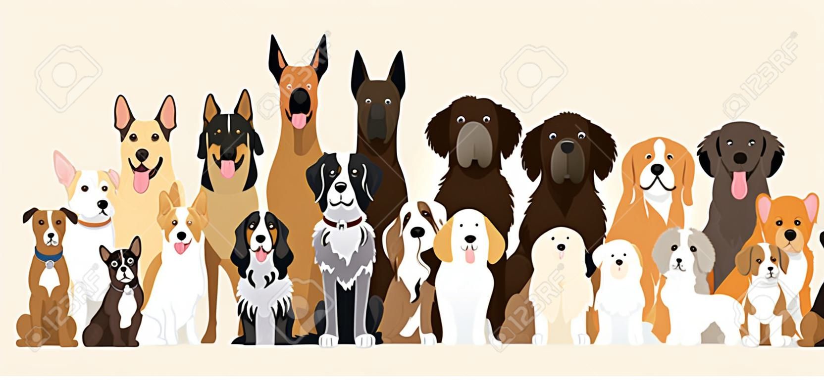 Gruppe von Hunderassen Illustration, verschiedene Größen, Vorderansicht, Haustier