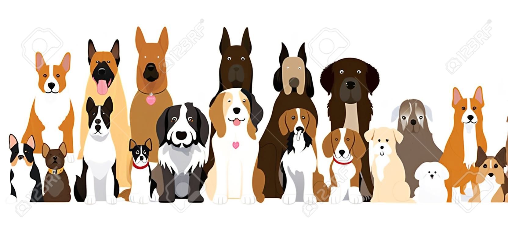 Kutya fajták csoportja, illusztráció, különböző méretű, elölnézet, kisállat