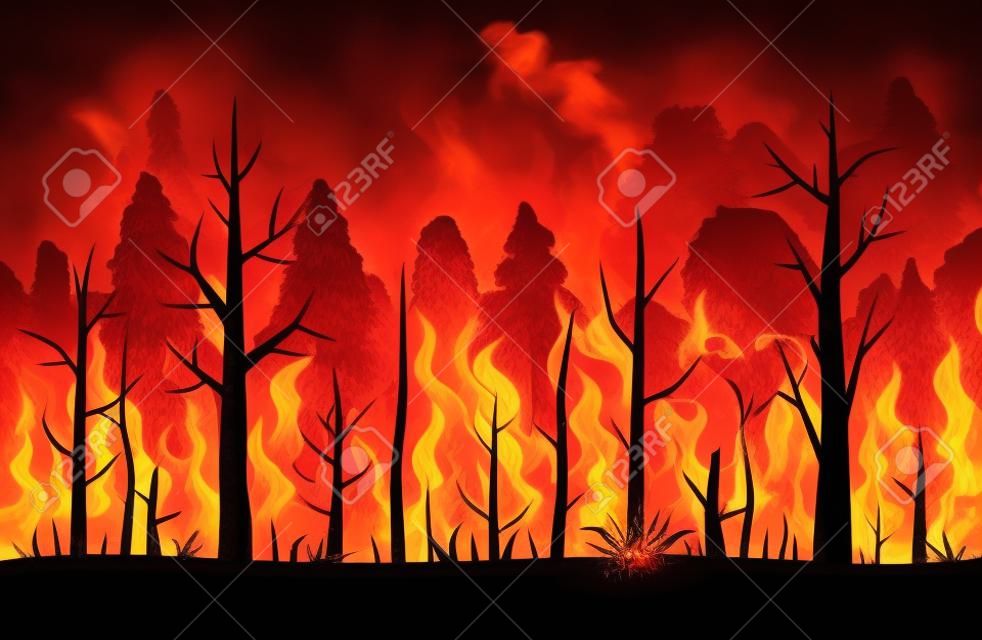 Wildvuur, bosbrand, achtergrond natuurlijke ramp